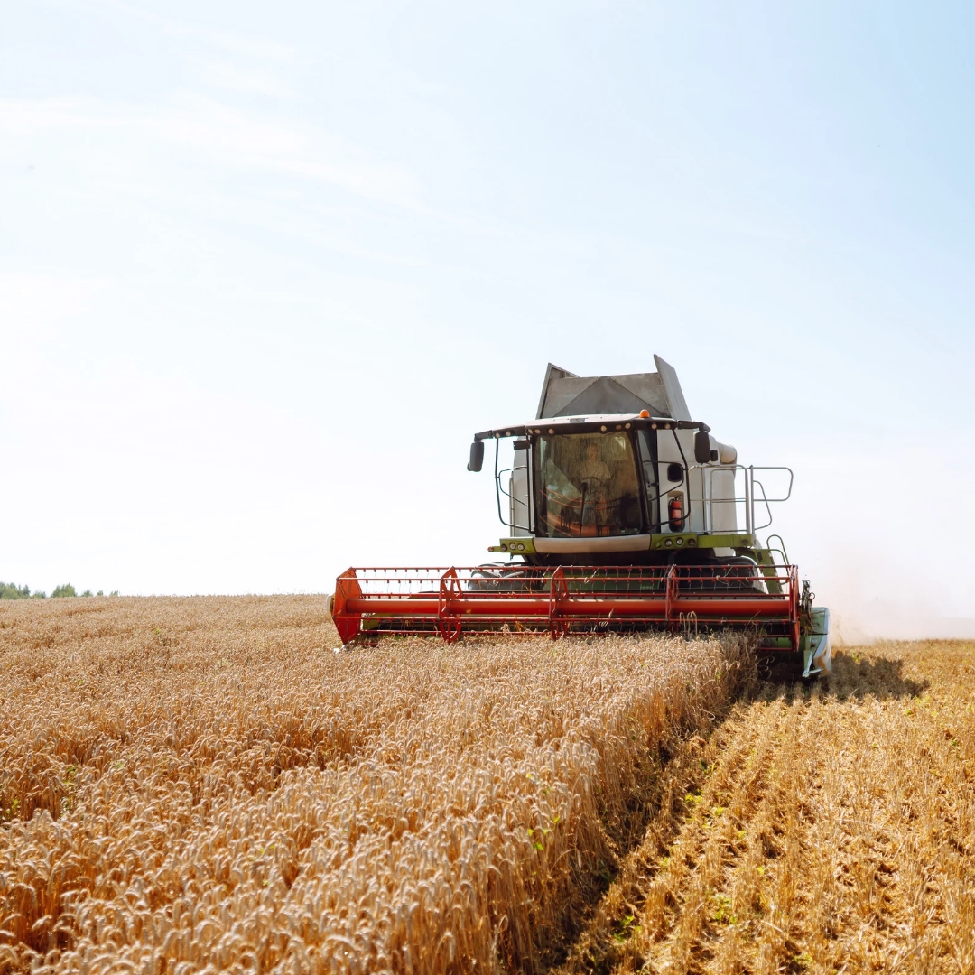 Agriculture